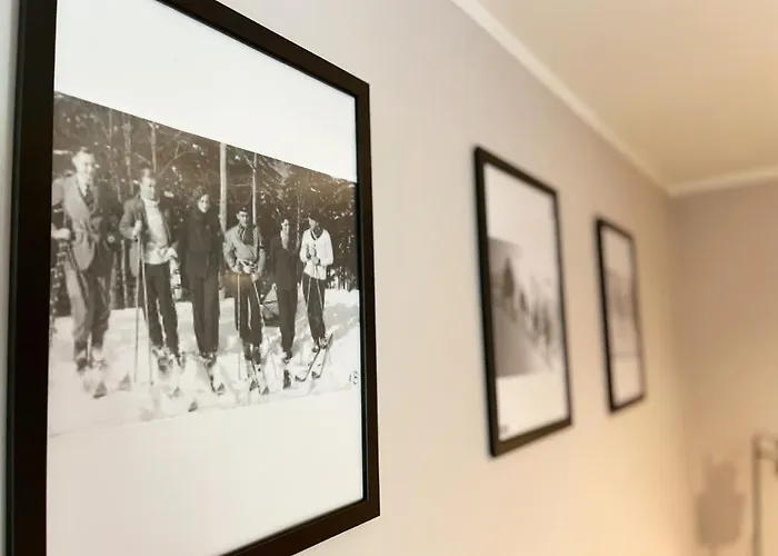 Dzikowiec * Boguszów-Gorce